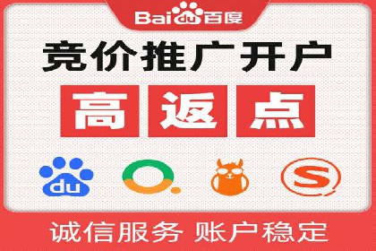 百度优化推广案例：打造行业领先品牌